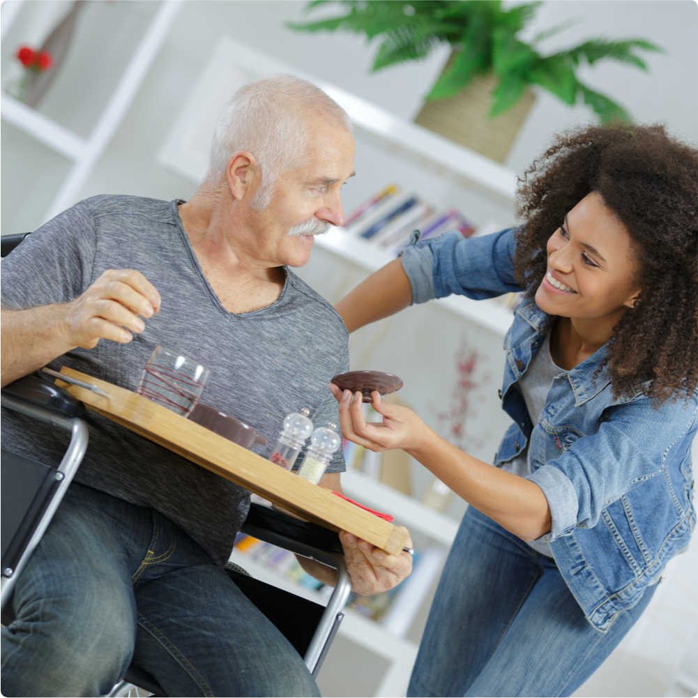 MS Home Care Guide The Livein Care Company