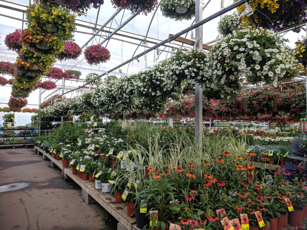 plant-nursery